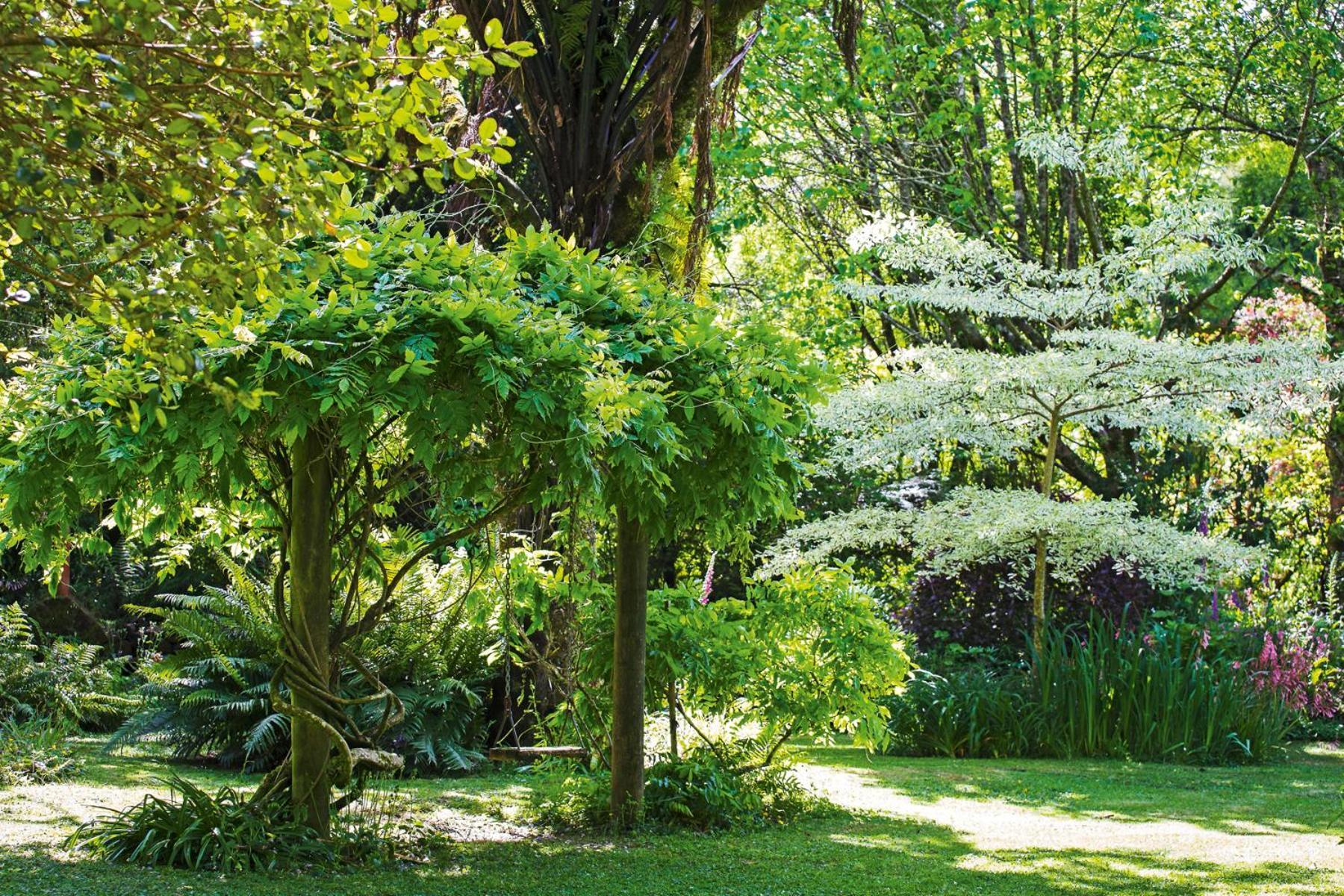 Tepopo Gardens Rural Retreat Villa Stratford Eksteriør bilde