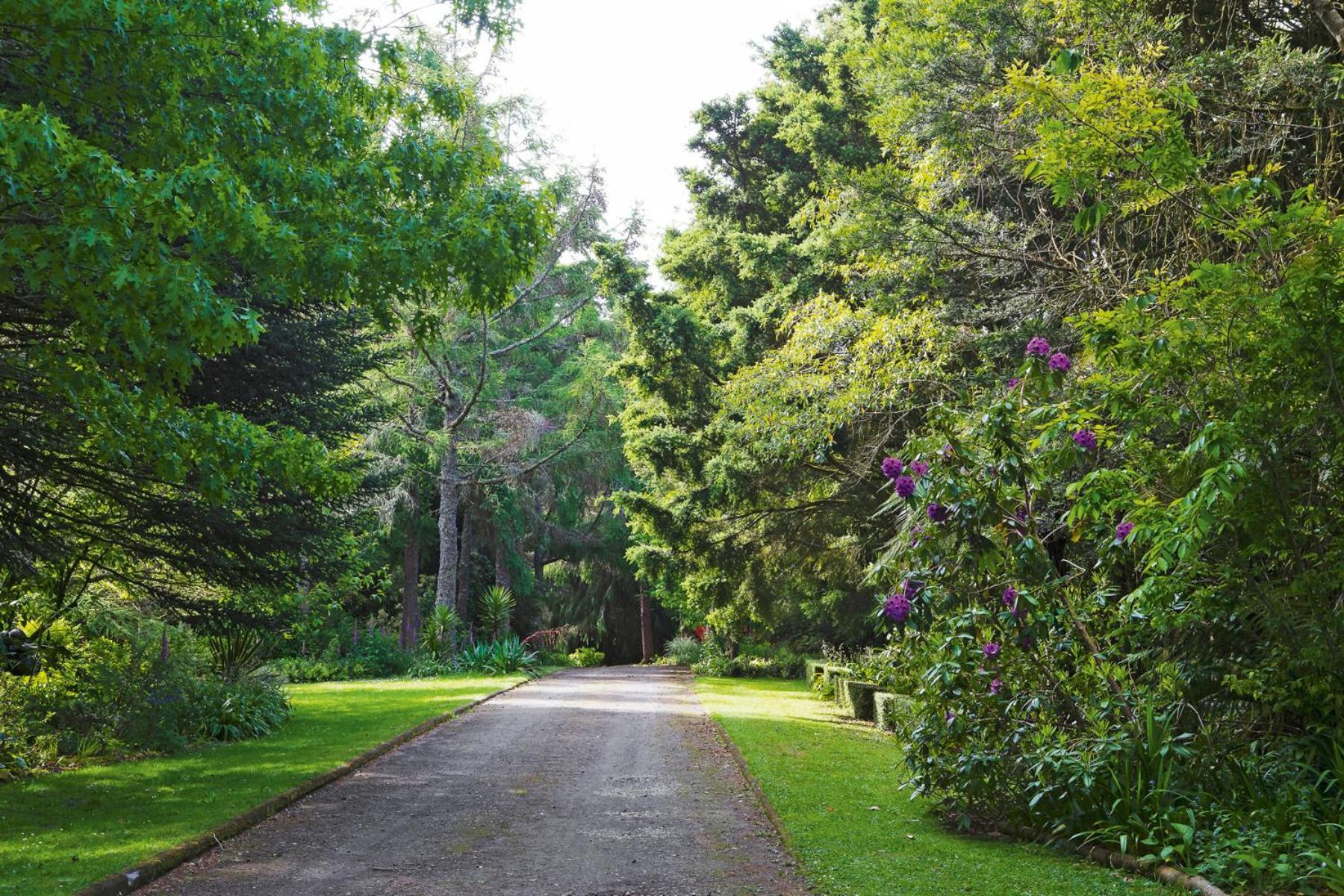 Tepopo Gardens Rural Retreat Villa Stratford Eksteriør bilde