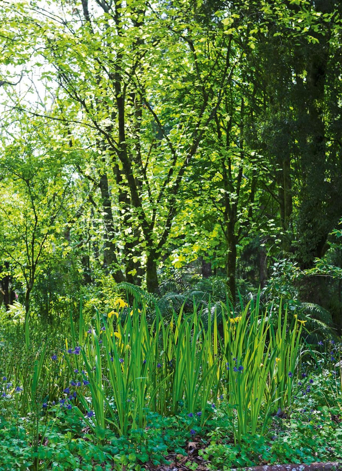 Tepopo Gardens Rural Retreat Villa Stratford Eksteriør bilde