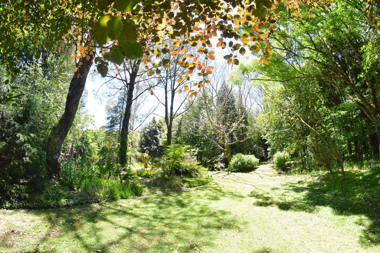 Tepopo Gardens Rural Retreat Villa Stratford Eksteriør bilde